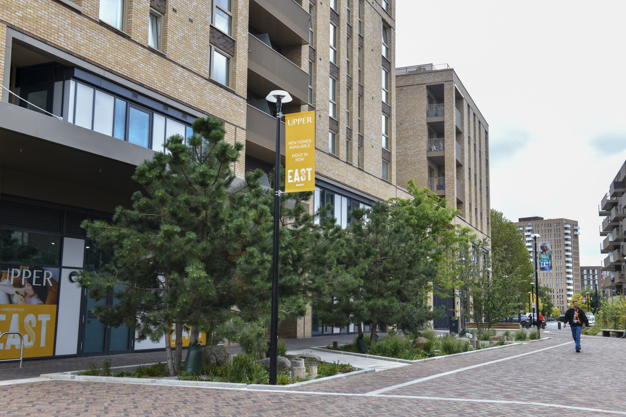 Trees and planting along the Stroudley Walk shopping parade