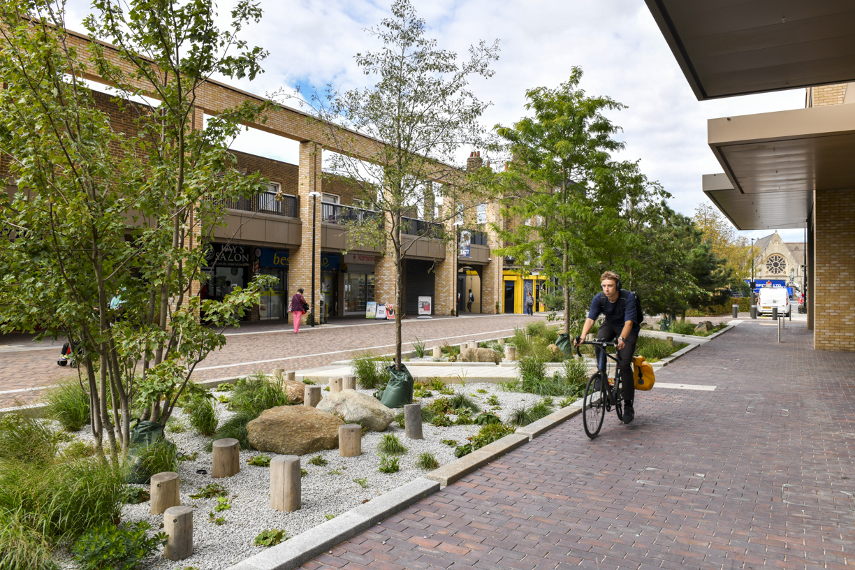 A cyclist riding along the tree-lined neighbourhood path